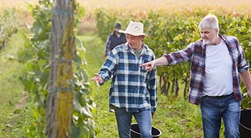 Sécurité et Prévention en Viticulture&nbsp;: des formations indispensables pour vos équipes